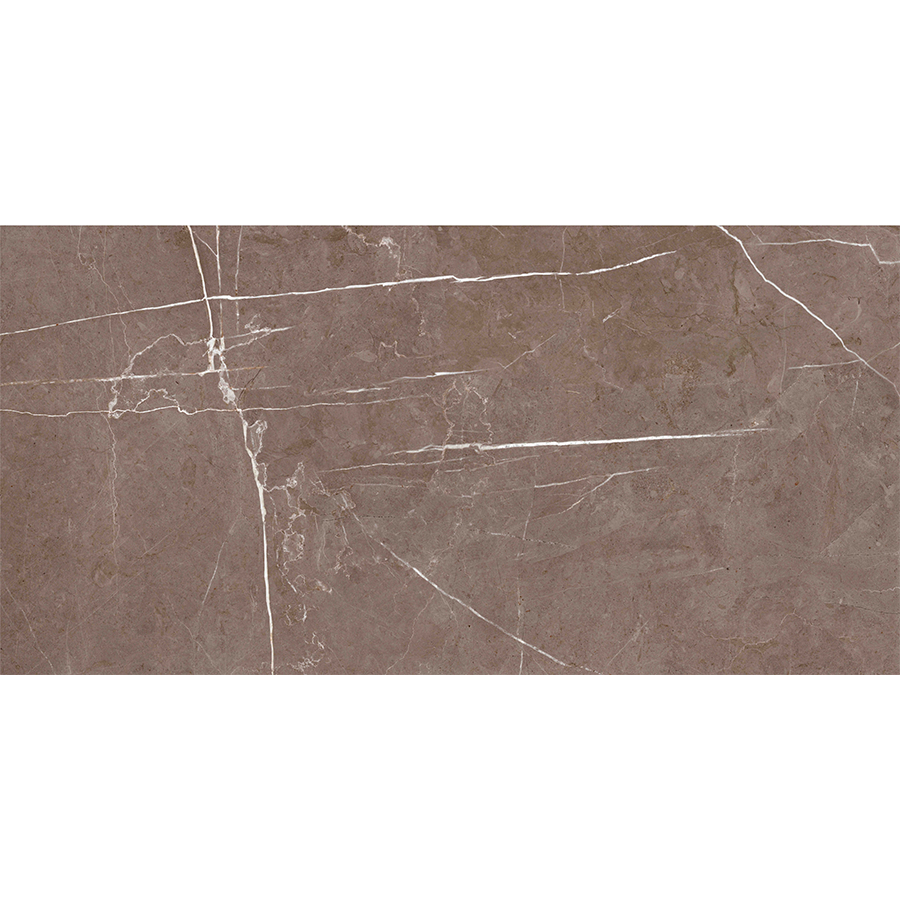 BİEN SERAMİK FAYANS  60*120 PARLAK DARWİN TAUPE (1KUTU 2,16 m2)
