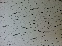 SİYAH KIRÇILLI DESEN Asma Tavan Karolam Karopan  60X60 1 Paket 10 Adet